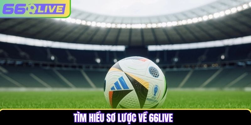 Tìm hiểu sơ lược 66Live Tìm hiểu sơ lược 66Live