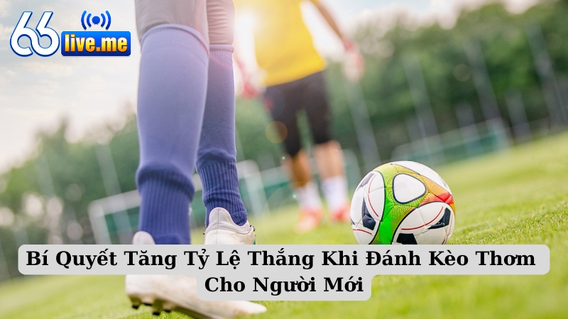 Bí Quyết Tăng Tỷ Lệ Thắng Khi Đánh Kèo Thơm Cho Người Mới