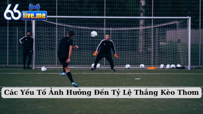 Các Yếu Tố Ảnh Hưởng Đến Tỷ Lệ Thắng Kèo Thơm