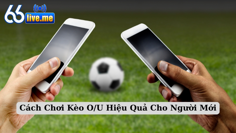 Cách Chơi Kèo O/U Hiệu Quả Cho Người Mới