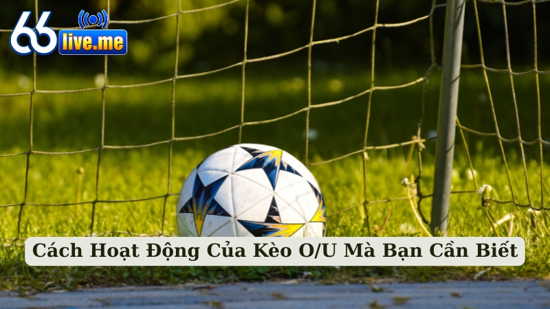 Cách Hoạt Động Của Kèo O/U Mà Bạn Cần Biết