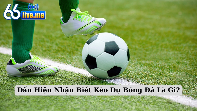 Dấu Hiệu Nhận Biết Kèo Dụ Bóng Đá Là Gì?