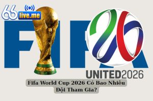 Fifa World Cup 2026 Có Bao Nhiêu Đội Tham Gia?