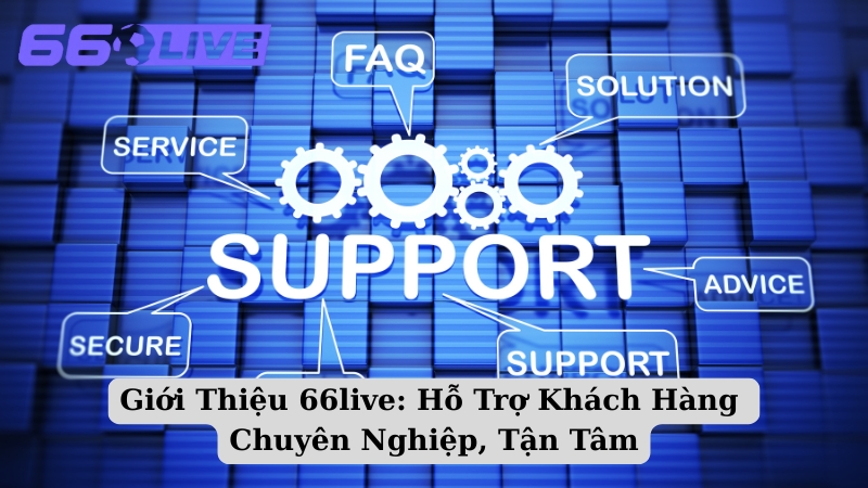 Giới Thiệu 66live: Hỗ Trợ Khách Hàng Chuyên Nghiệp, Tận Tâm