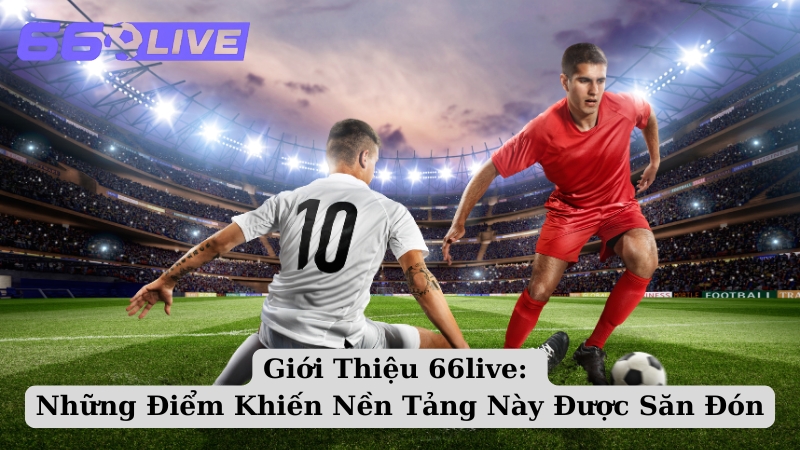 Giới Thiệu 66live: Những Điểm Khiến Nền Tảng Này Được Săn Đón