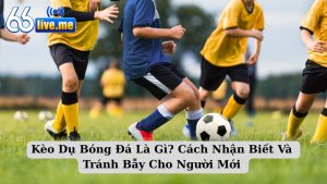 Kèo Dụ Bóng Đá Là Gì? Cách Nhận Biết Và Tránh Bẫy Cho Người Mới