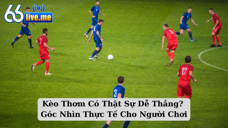 Kèo Thơm Có Thật Sự Dễ Thắng? Góc Nhìn Thực Tế Cho Người Chơi