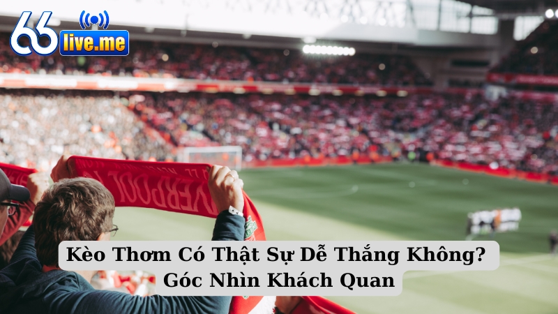 Kèo Thơm Có Thật Sự Dễ Thắng Không? Góc Nhìn Khách Quan