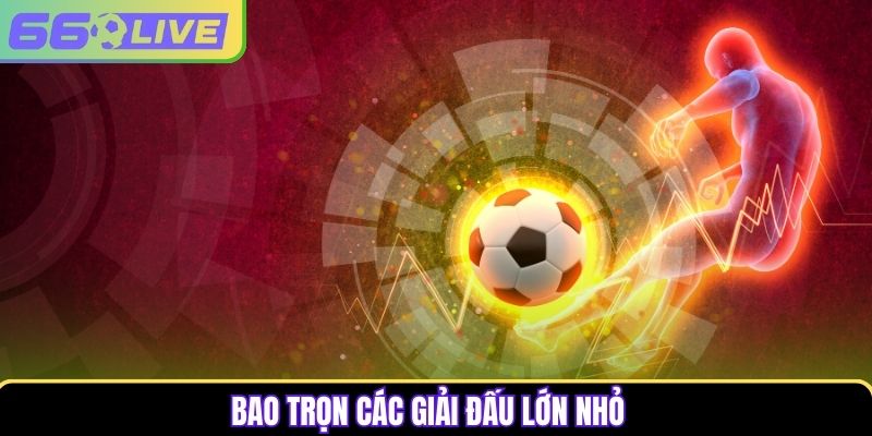 Bao trọn các giải đấu lớn nhỏ Bao trọn các giải đấu lớn nhỏ