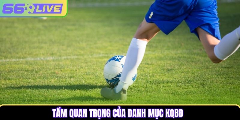 Tầm quan trọng của danh mục KQBĐ Tầm quan trọng của danh mục KQBĐ