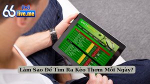 Làm Sao Để Tìm Ra Kèo Thơm Mỗi Ngày?