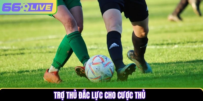 Trợ thủ đắc lực cho cược thủ Trợ thủ đắc lực cho cược thủ
