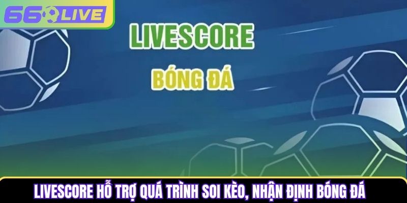 Livescore hỗ trợ quá trình soi kèo, nhận định bóng đá Livescore hỗ trợ quá trình soi kèo, nhận định bóng đá
