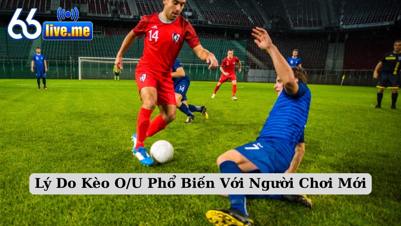 Lý Do Kèo O/U Phổ Biến Với Người Chơi Mới