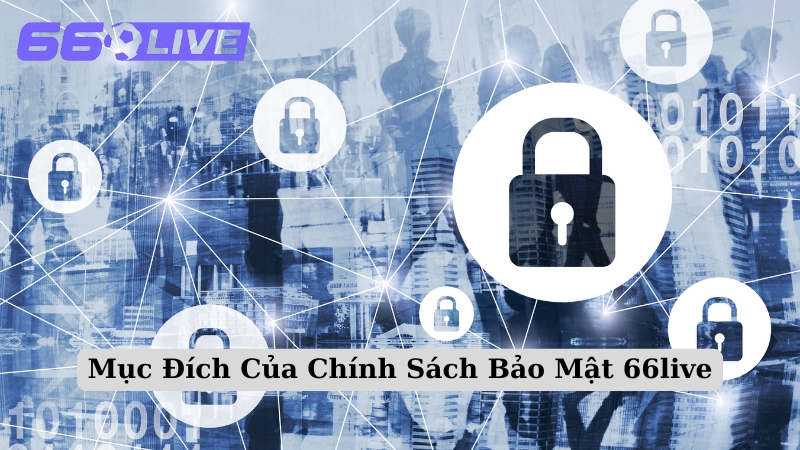Mục Đích Của Chính Sách Bảo Mật 66live