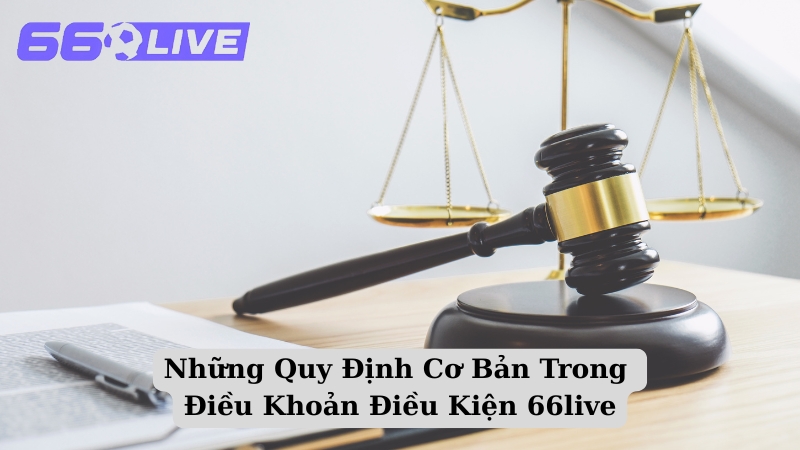 Những Quy Định Cơ Bản Trong Điều Khoản Điều Kiện 66live