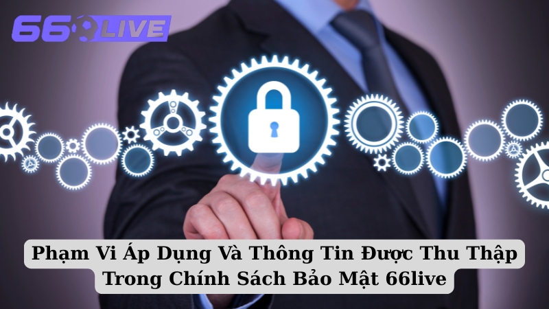 Phạm Vi Áp Dụng Và Thông Tin Được Thu Thập Trong Chính Sách Bảo Mật 66live