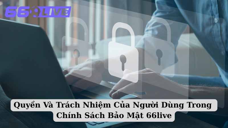 Quyền Và Trách Nhiệm Của Người Dùng Trong Chính Sách Bảo Mật 66live
