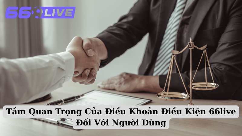 Tầm Quan Trọng Của Điều Khoản Điều Kiện 66live Đối Với Người Dùng