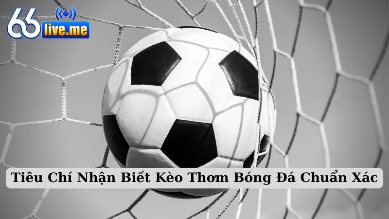 Tiêu Chí Nhận Biết Kèo Thơm Bóng Đá Chuẩn Xác