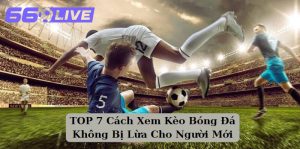 TOP 7 Cách Xem Kèo Bóng Đá Không Bị Lừa Cho Người Mới