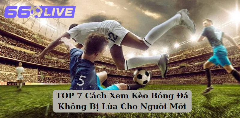 TOP 7 Cách Xem Kèo Bóng Đá Không Bị Lừa Cho Người Mới