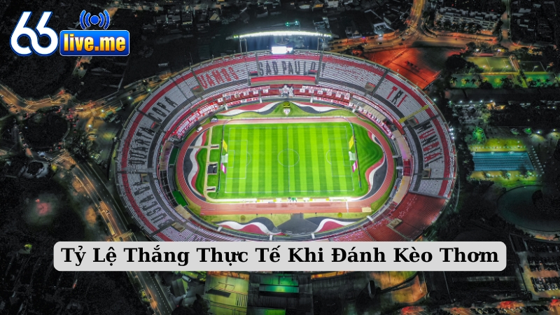 Tỷ Lệ Thắng Thực Tế Khi Đánh Kèo Thơm