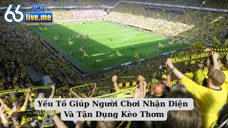 Yếu Tố Giúp Người Chơi Nhận Diện Và Tận Dụng Kèo Thơm
